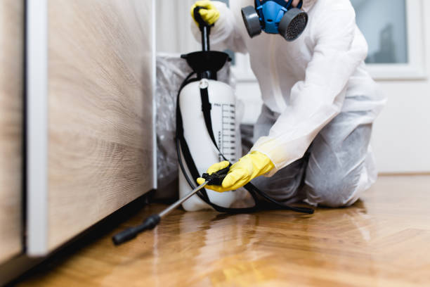 Best Pest Removal Services  in Venice, IL