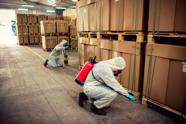 Best Ant Control Services  in Venice, IL