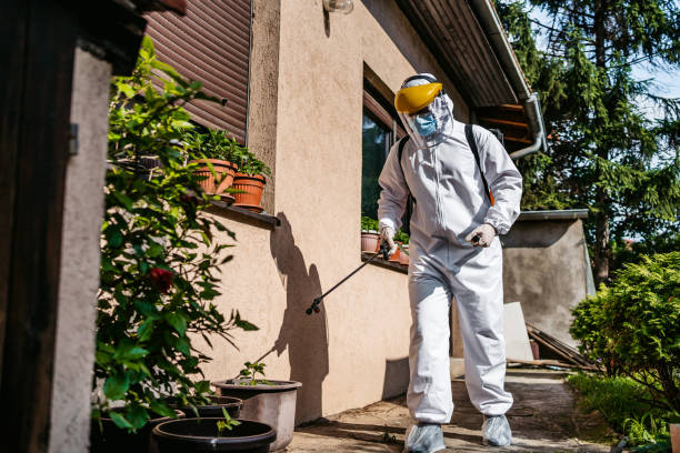 Best Pest Control for Homes  in Venice, IL
