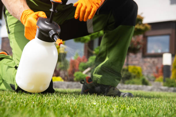 Best Affordable Pest Control Services  in Venice, IL