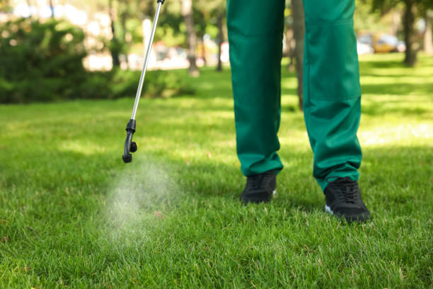 Best Flea Control Services  in Venice, IL