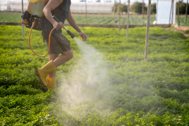 Best Wildlife Control Services  in Venice, IL
