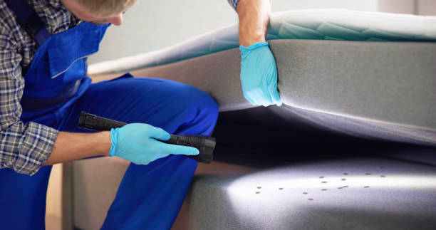 Pest Control Cost in Venice, IL
