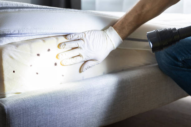 Pest Control Cost in Venice, IL