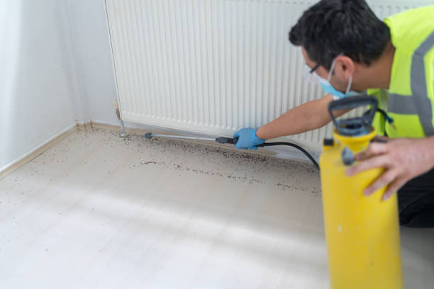Best Best Pest Control Companies  in Venice, IL
